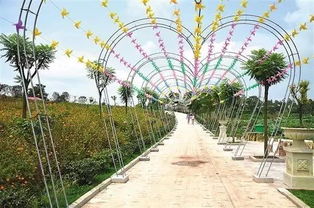 隆昌萬花谷 農業園藝與休閑體驗的完美融合