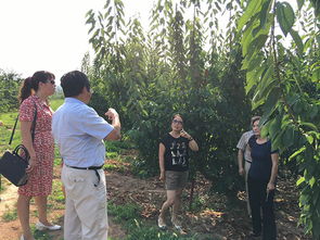 西北農(nóng)林科技大學(xué)園藝學(xué)院 農(nóng)業(yè)園藝服務(wù)的創(chuàng)新與實(shí)踐