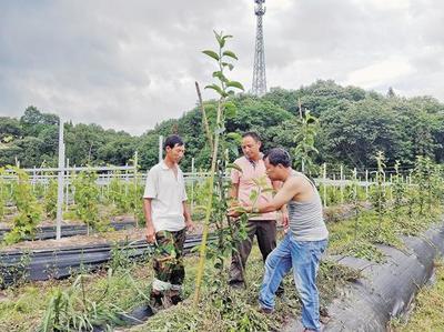 青年教師不能做服務(wù)“三農(nóng)”的局外人——農(nóng)業(yè)園藝服務(wù)的使命與行動(dòng)