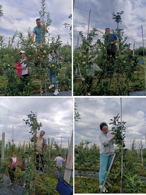 黨建引領(lǐng)強(qiáng)服務(wù) 道德講堂潤初心——寶雞市園藝站開展道德講堂及主題黨日活動(dòng)