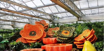 一腔熱血的“田園夢(mèng)”如何變?yōu)椤笆穲@”？——河南某農(nóng)旅項(xiàng)目失敗案例剖析