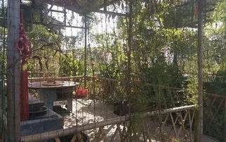 沔莊野炊農俗體驗活動 在田園中尋找生活真趣