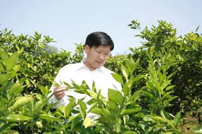 對話雙一流 華中農業大學園藝學科，以科技賦能農業園藝服務