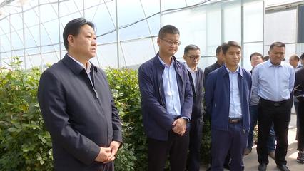 考察學習交流 優勢互補促發展，共繪農業園藝服務新篇章