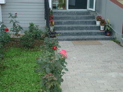 探秘農科院種子購買指南 聚焦園藝與農業服務