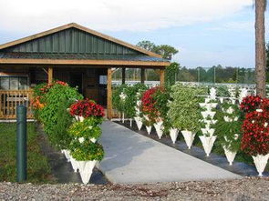 堆垛園藝 垂直農業發展中易于推廣的技術新星